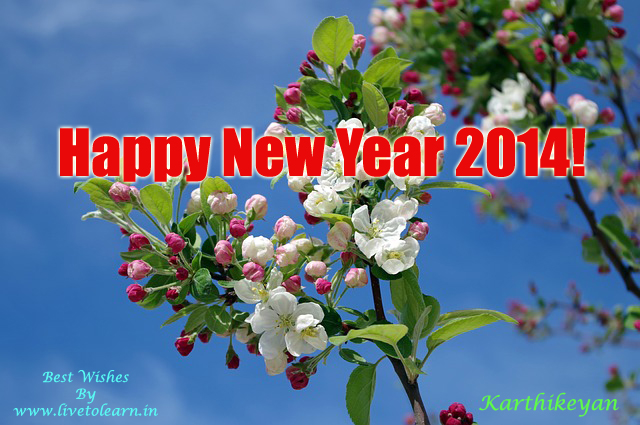 Happy New Year Wishes By LivetoLearn